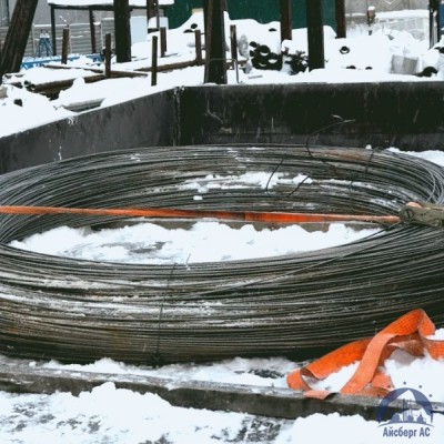 Проволока овальная 0,22х0,3-1-55 ГОСТ 3875-83 купить в Петропавловск-Камчатском