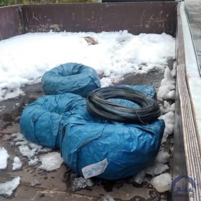 Проволока круглая 0,32-1-Л-55 ГОСТ 3875-83 купить в Петропавловск-Камчатском